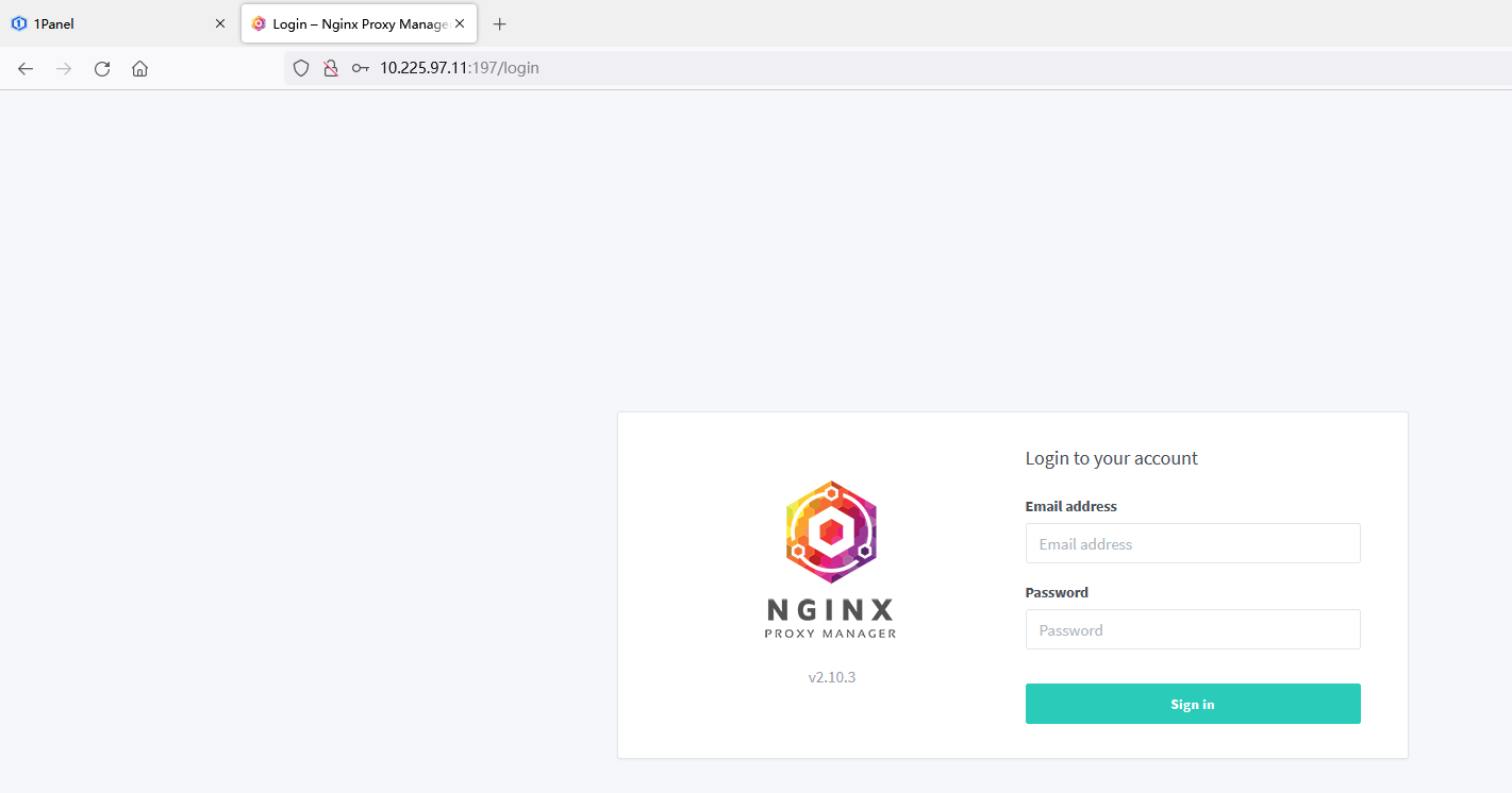 npm1